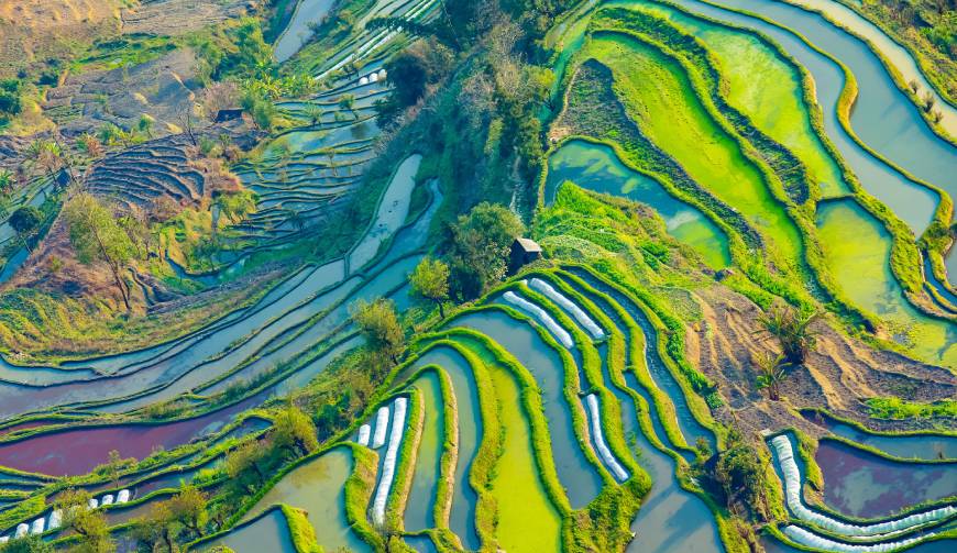 走进仁寿县TVC拍摄：解锁本地化场景与创意镜头的完美融合